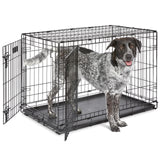 MidWest iCrate 30-Inch Folding Dog Crate with Paw Block Latch, Secure Containment for Medium-Breed Puppies 21-40 lbs