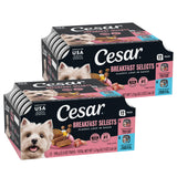 Cesar Classic Loaf in Sauce – Thoughtful Gift for New Puppy Parents and Small Breed Dog Lovers, 36 Peel Trays