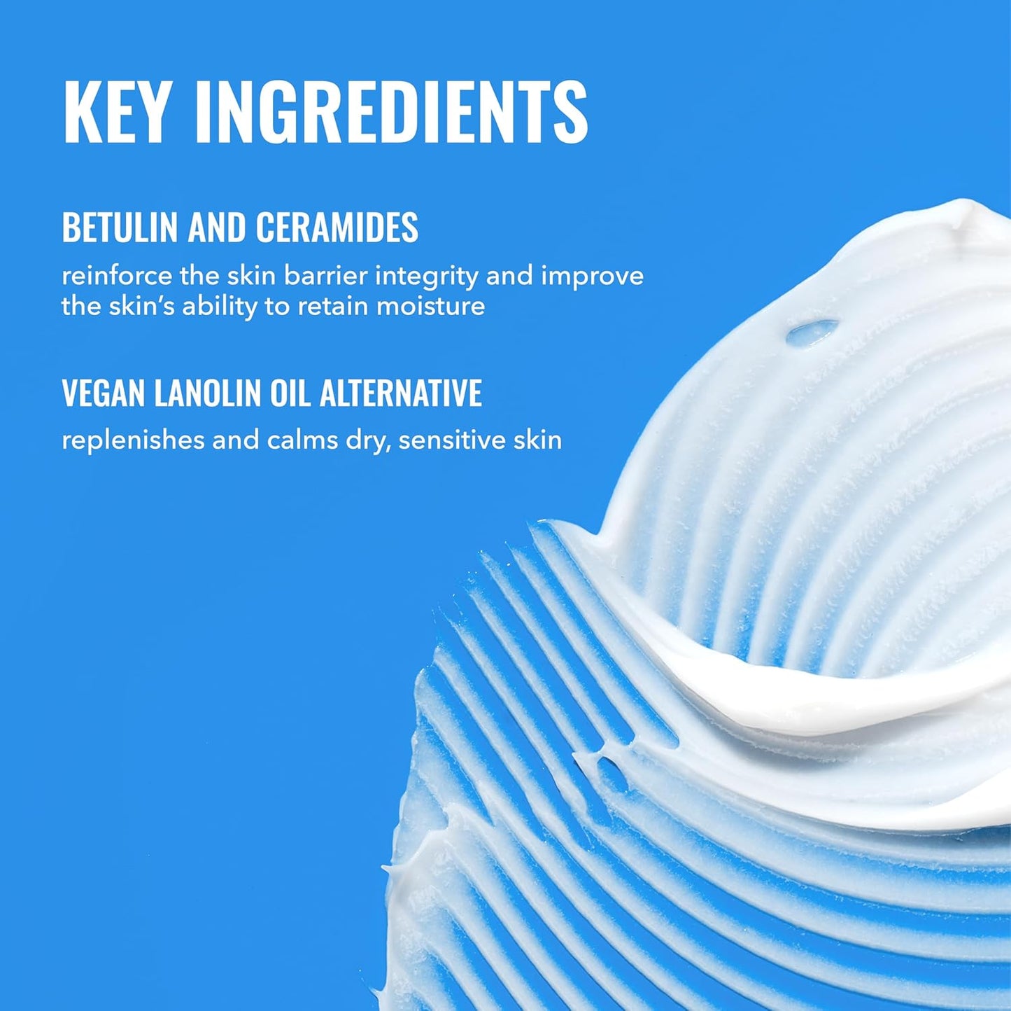 Good Molecules Rich Cream with Ceramides – Streamlined Daily Face Moisturizer for an Uncluttered Vanity, 50 ml