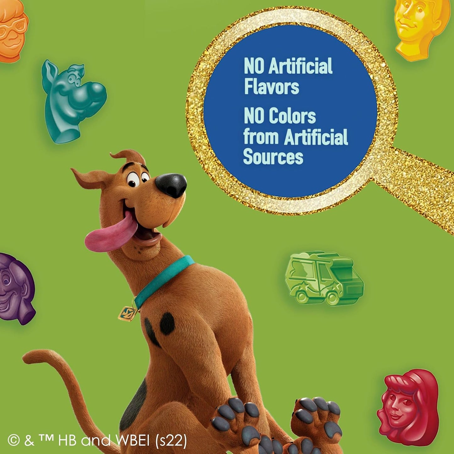Scooby-Doo Fruit Flavored Snacks Gluten Free 22 Pouch Value Pack Kids Lunch Box Treat for School and Daycare