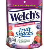 Welch's Fruit Snacks Bulk Variety Box – Grab-and-Go Gluten-Free Snack Pouches for the Workplace Snack Bar and Remote Office