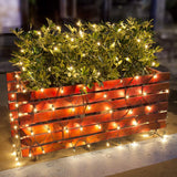 Lomotech Christmas Net Lights – Thoughtful Housewarming Gift for Outdoor Decorators and Holiday Hosts