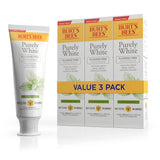 Burt's Bees Natural Mountain Mint Toothpaste – Thoughtful Fluoride-Free Stocking Stuffer and Housewarming Present