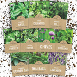 Organic Herb Seeds Variety Pack – Stylish Indoor Kitchen Garden for Windowsill and Countertop Decor, 10 Heirloom