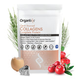 Organixx Clean Sourced Collagen Peptides – Focus Fuel for Home Office Routine, 8g Unflavored Protein in Coffee Without Slowdown