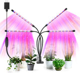 SANSI Grow Light – Thoughtful Housewarming Gift for Plant Lovers and New Apartment Dwellers