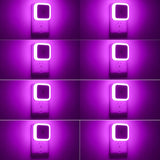 Sujeet Night Light 8-Pack – Compact Square Plug-in Design for Clean, Uncluttered Hallways and Bedrooms