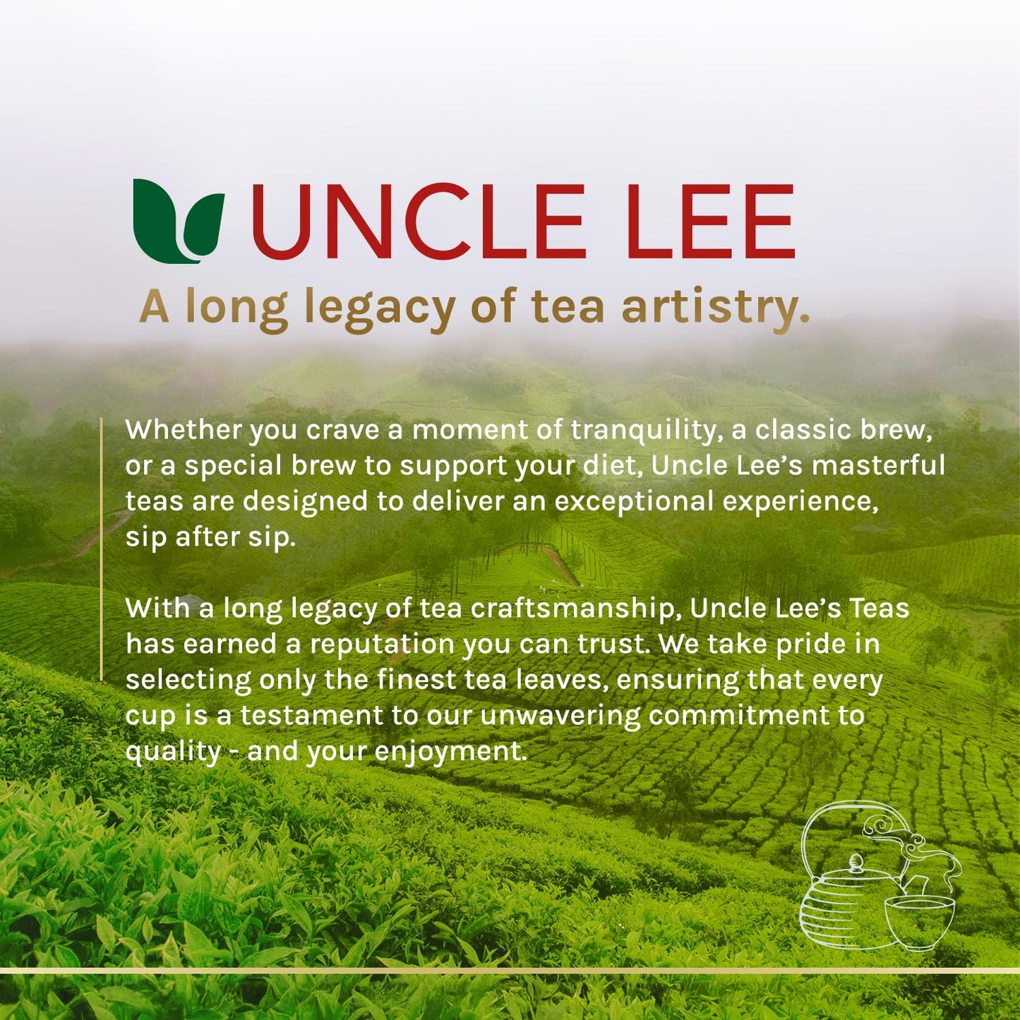 Uncle Lee's Organic Matcha Green Tea Bags – Portable Hot or Iced Tea for Camping Trips and Road Travel