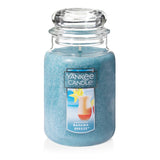 Yankee Candle Autumn Wreath Single Wick Candle – Cozy Cinnamon Apple Aroma for Bath Time Spa Setting and Self-Care Rituals