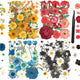 Colorful-b