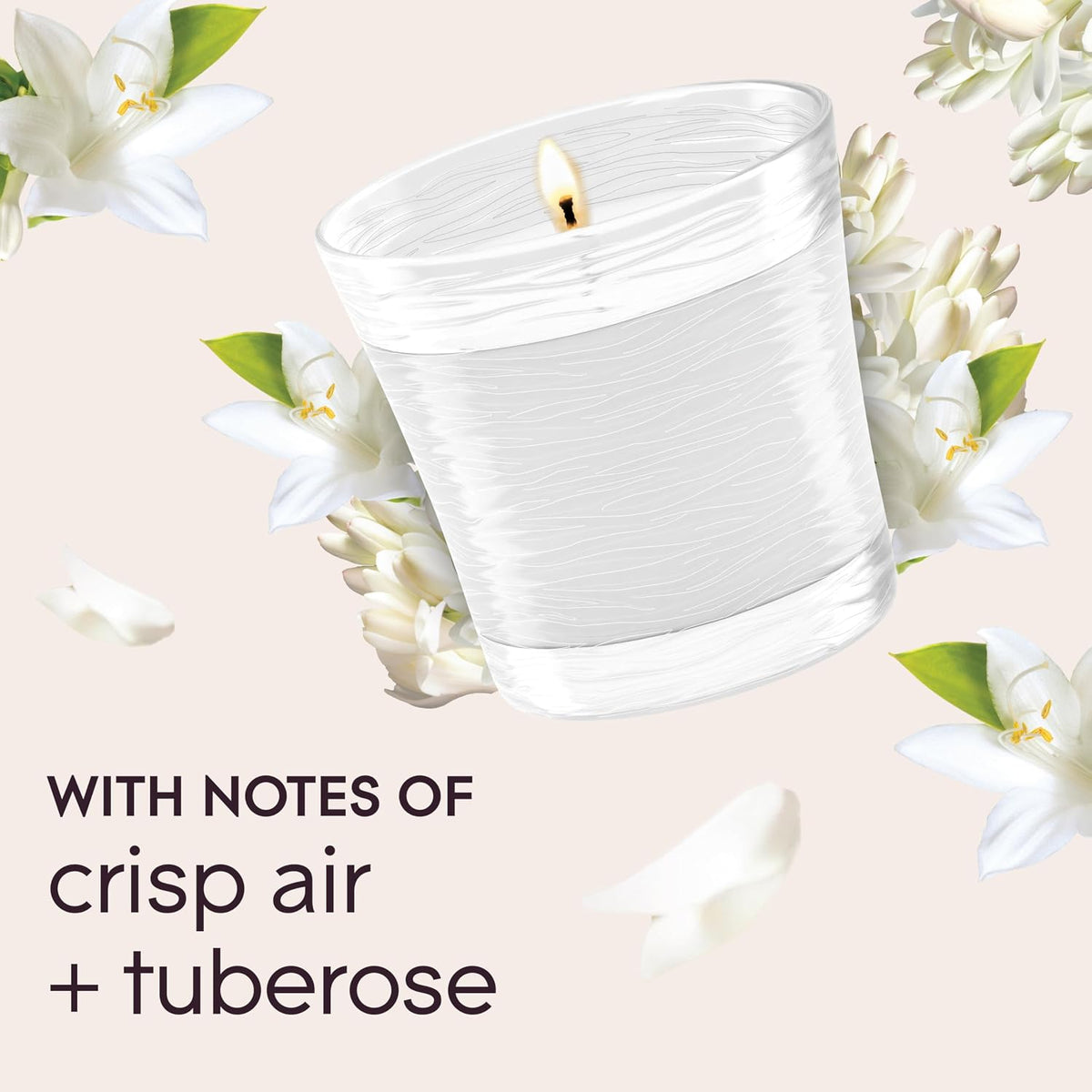 10 scent variants including single scents (cashmere woods, hawaiian breeze, dewdrop petals, angel whispers, aqua waves, smooth bourbon & oak, apple cinnamon) and bundled scent packs