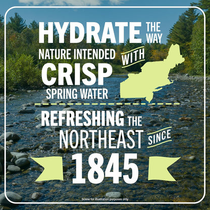16 product variants spanning sizes from 8 fl oz to 101.4 fl oz and packs from 1 to 80