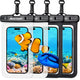 4-Pack Black & Clear