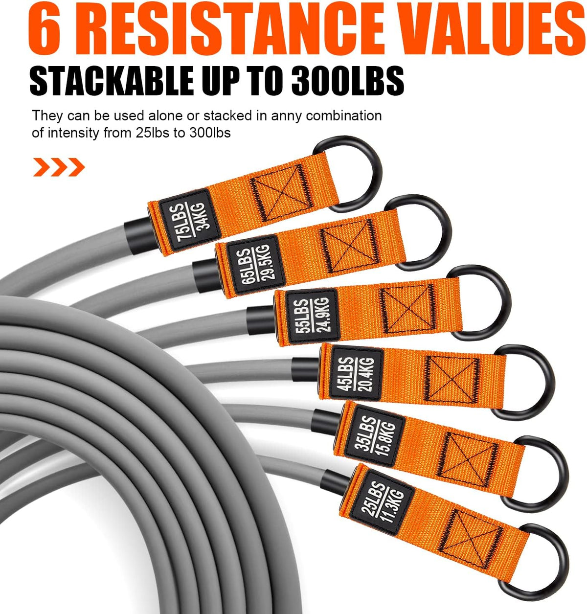 2-year warranty backing product durability claims