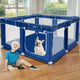Blue - 50x50 IN Without Cover