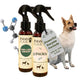 Stain & Odor Eliminator - 4 Fl Oz (Pack of 2)