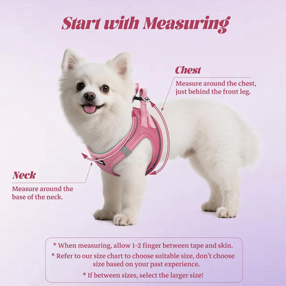 360-degree all-over reflective strip design on harness plus reflective 5 ft matching leash