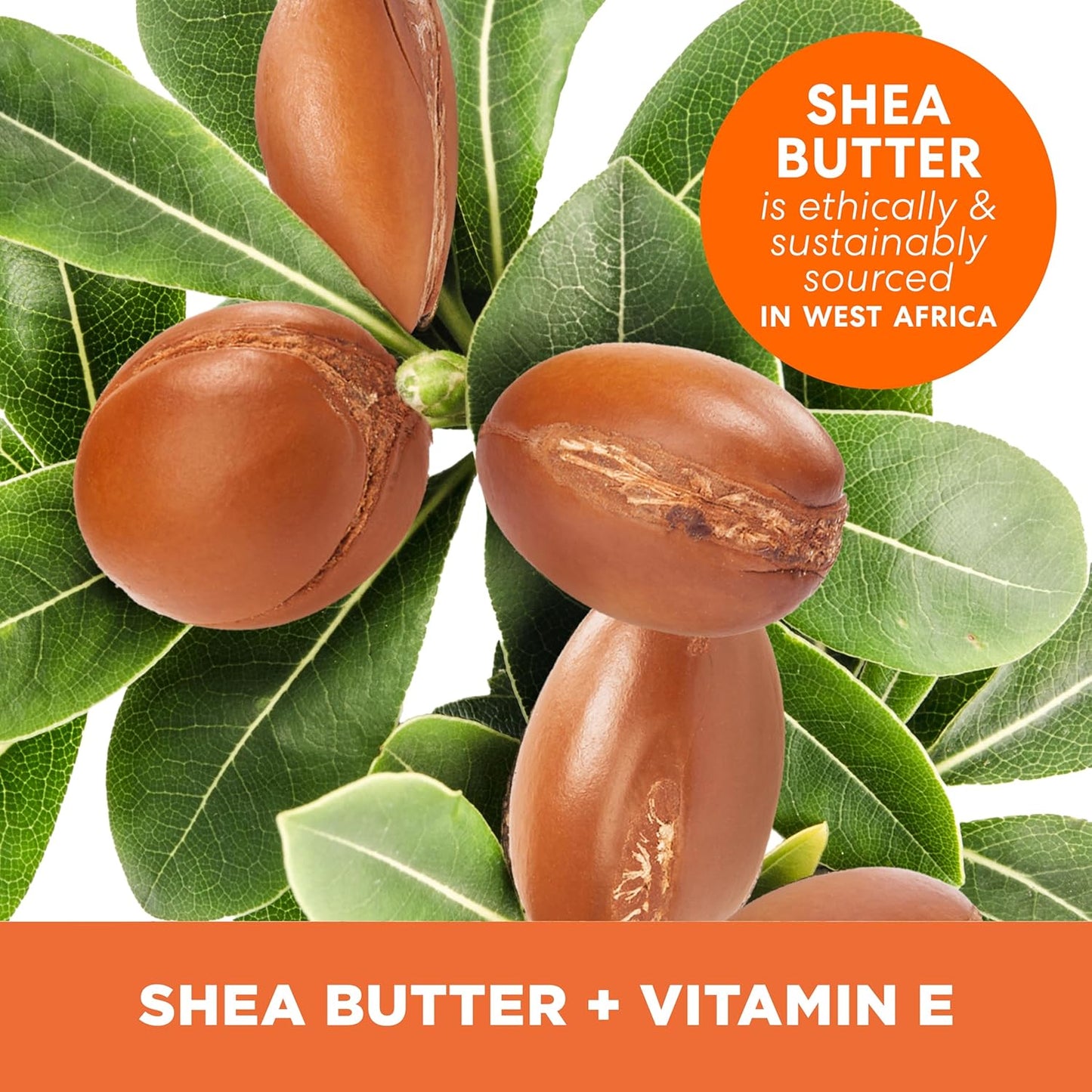 7.25 oz jar format suitable for whole-body application and long-term use