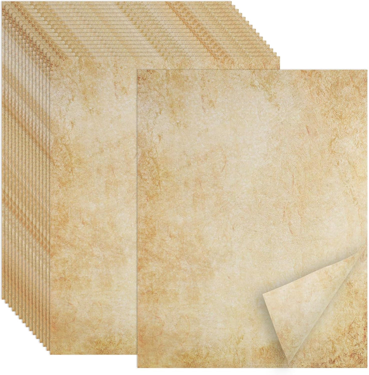8.5 x 11 inch standard us letter size