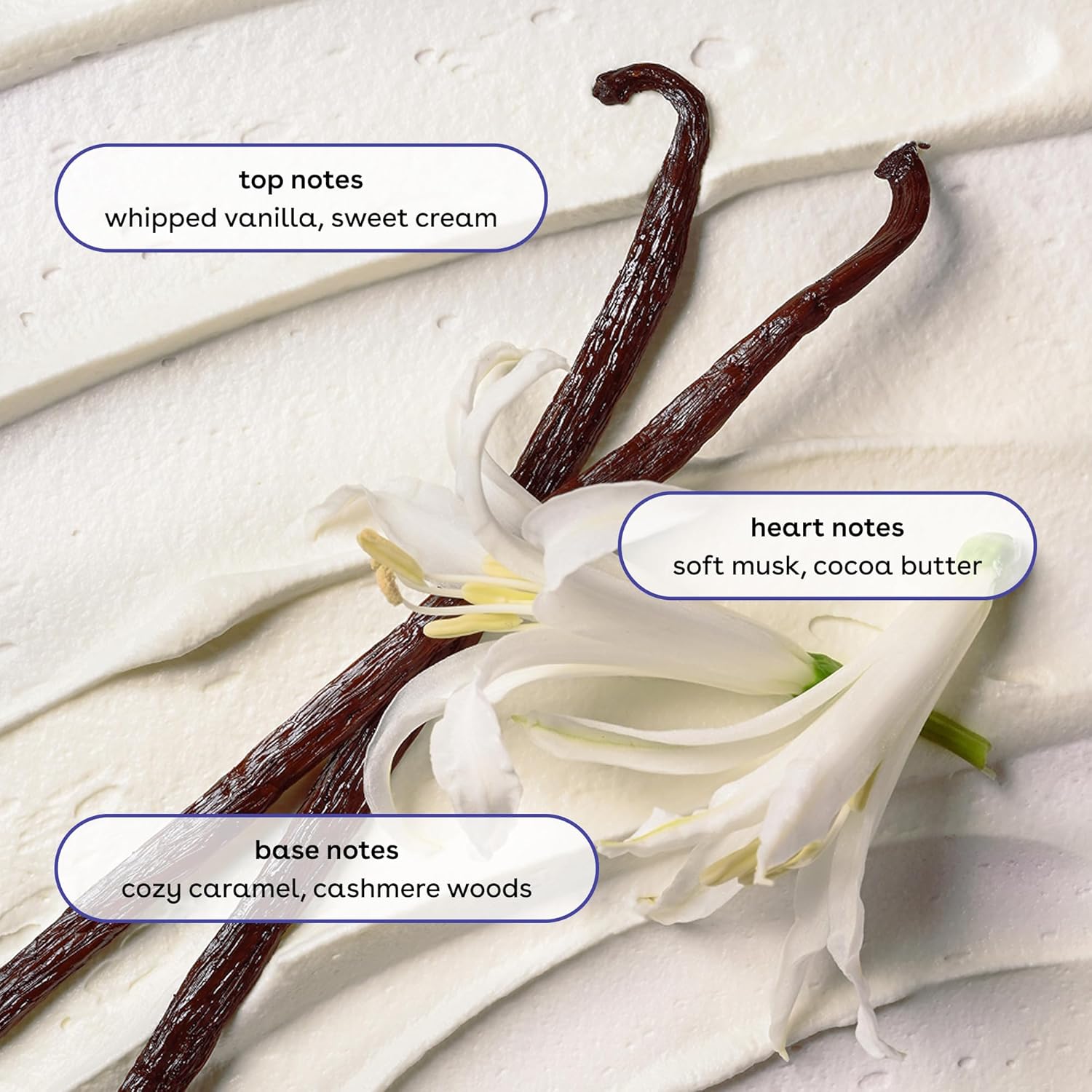 8 scent variants including vanilla cashmere, strawberry dream, pink champagne, pomegranate raspberry, fresh & cozy, coconut waters, crème de pistachio, and jasmine peach