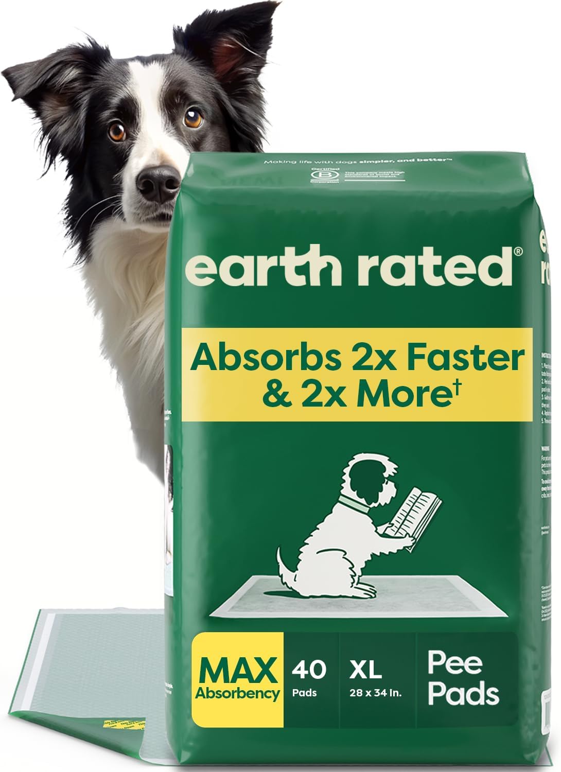 absorbshield+ technology claiming 2x faster absorption and 2x greater capacity