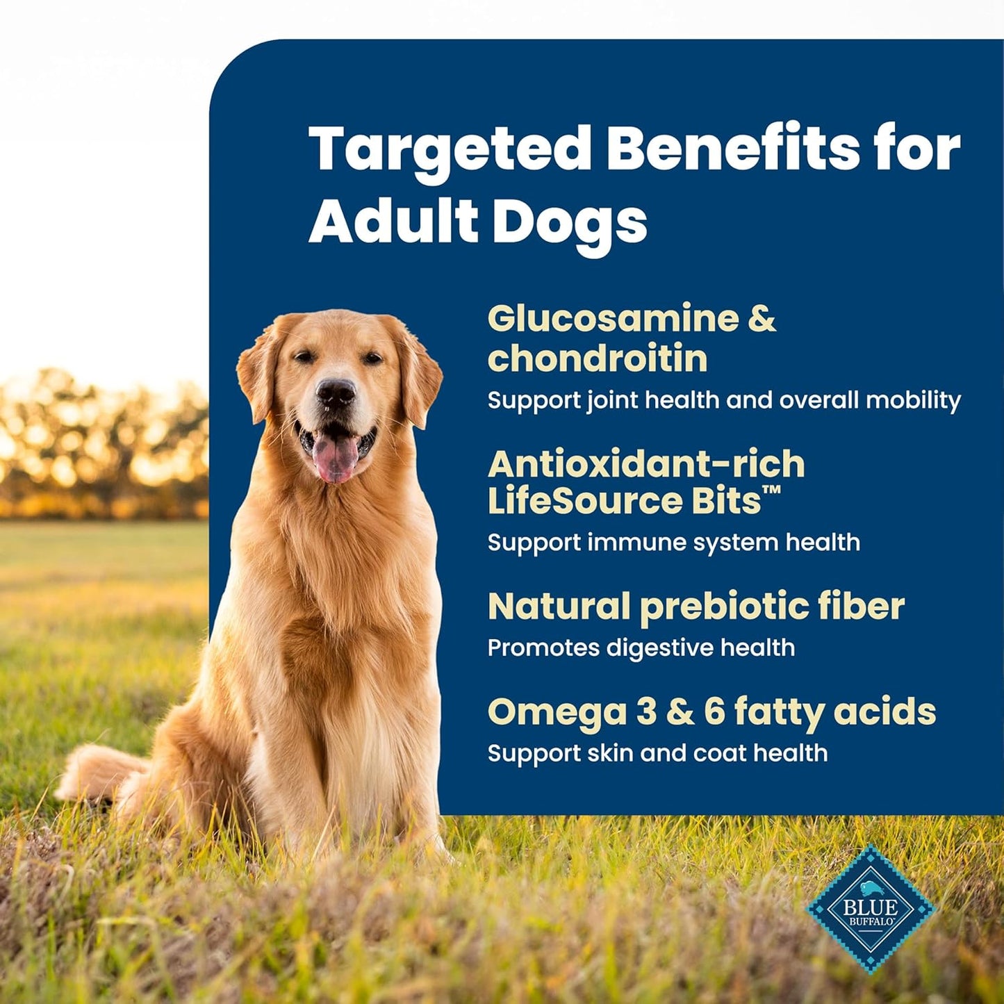 added glucosamine hydrochloride for adult dog joint health and mobility