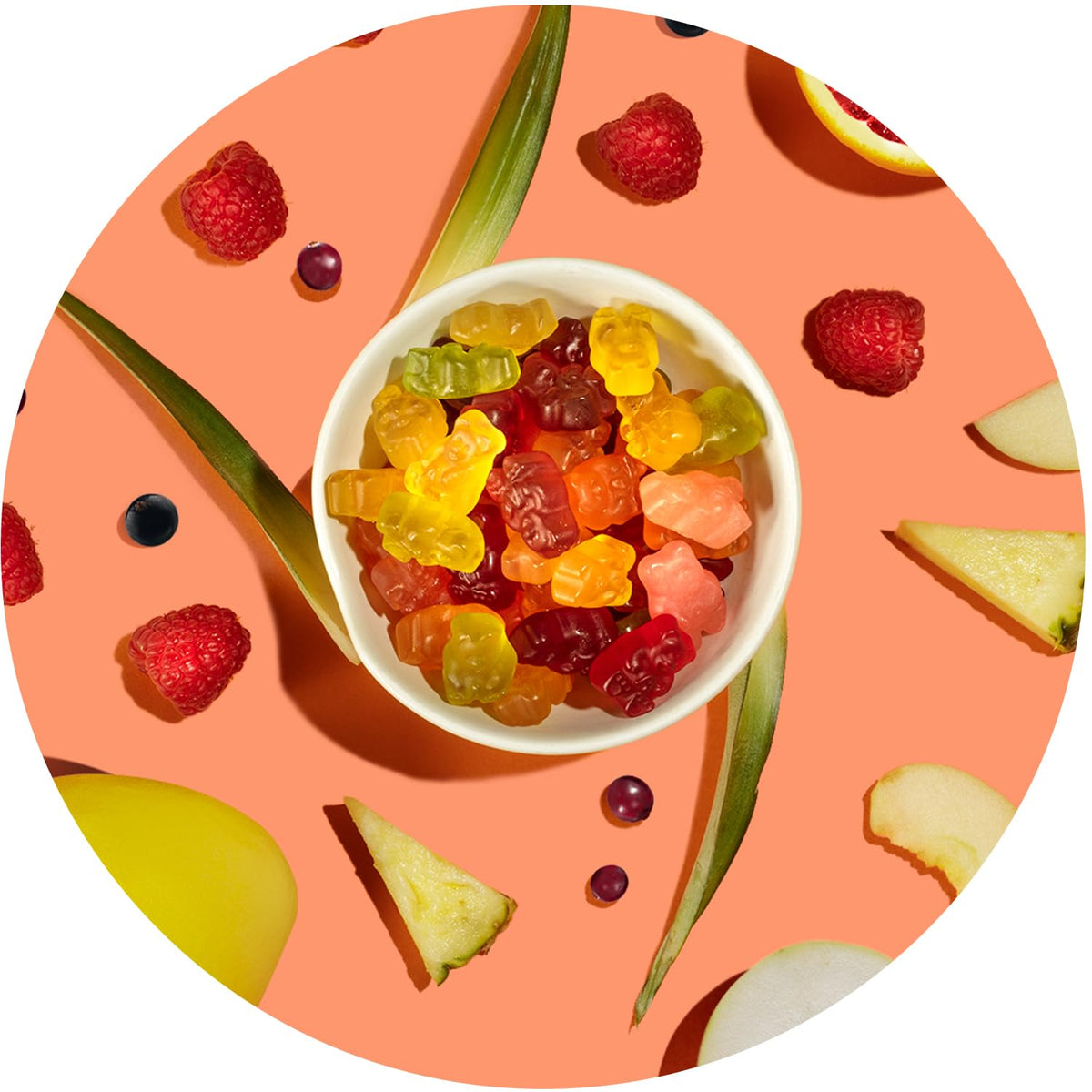 Albanese Exotic Fruit Gummy Bears 25oz – Heat-Stable Candy for Camping, Hiking, and Outdoor Adventure Packing