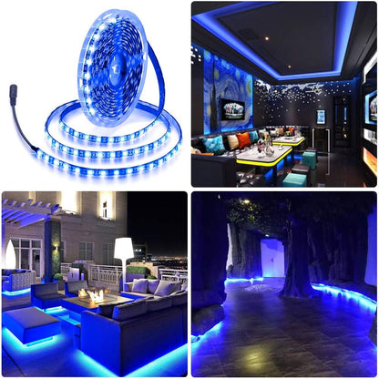 ALITOVE 16.4ft Slim Blue LED Strip Light for Clean-Lined Shelving and Coves, 12V 5050 Uncluttered Glow