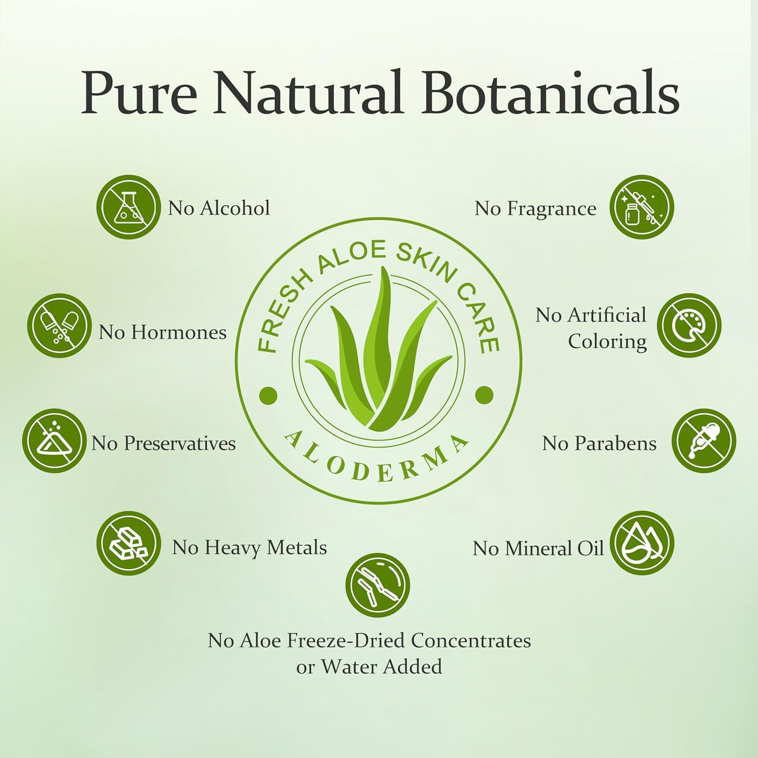 Aloderma Aloe Vera Gel – One-Jar Minimalist Routine for Face, Scalp & Hair, Clean Beauty Staple