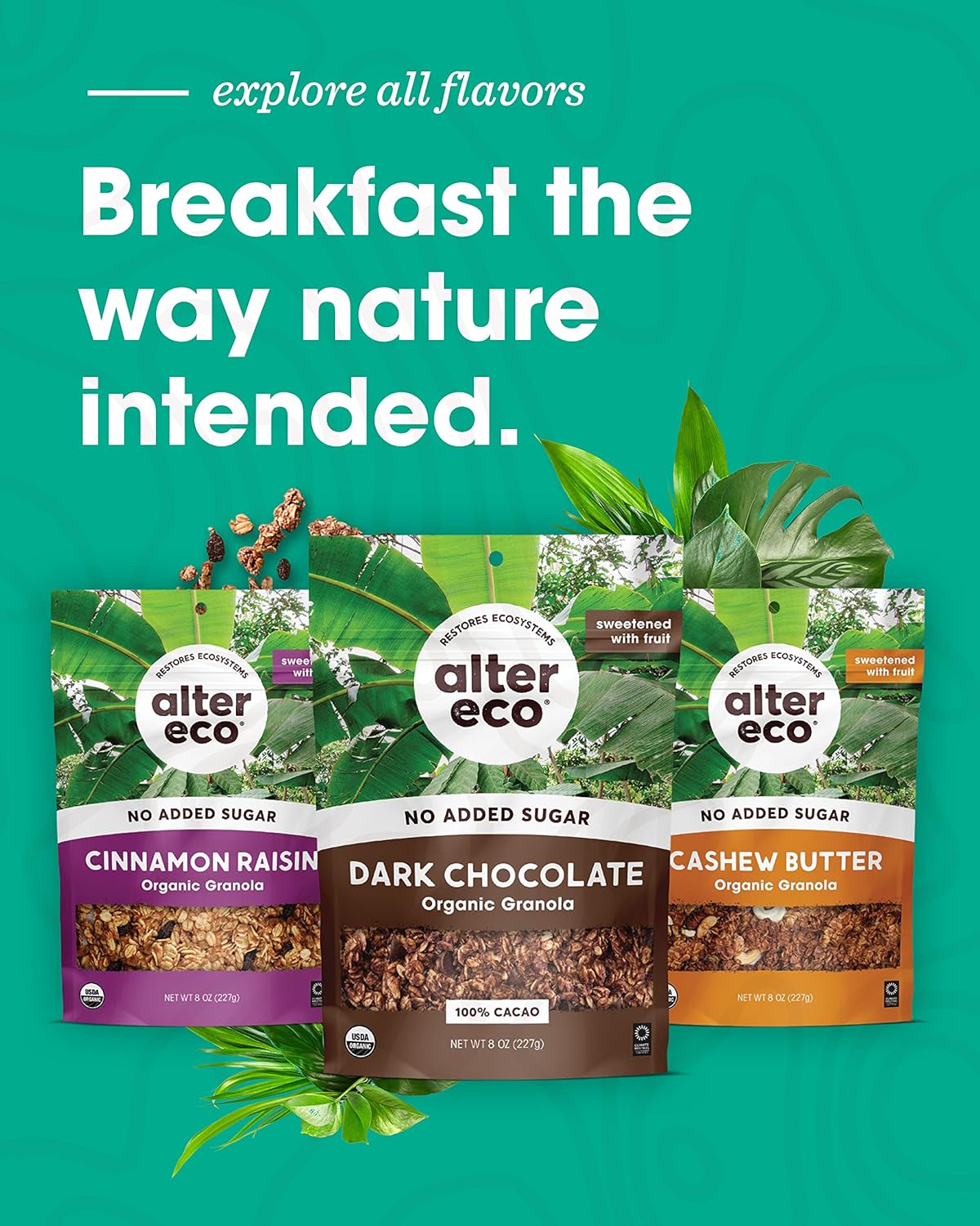 Alter Eco Cashew Butter Granola – Portable 1 oz Snack Pack for Hiking and Trail Days