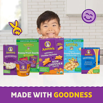 Annie's Organic Bunny Fruit Snacks – Grandparent Care Package Snack Gift for Grandkids, 22 ct Box