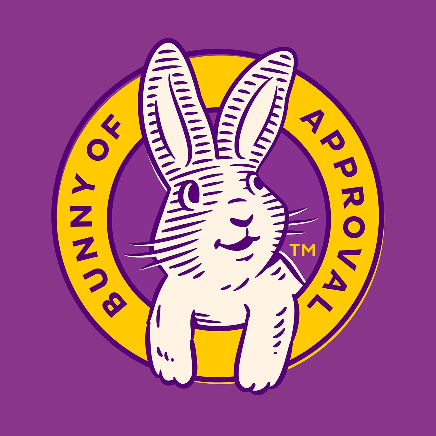 Annie's Organic Bunny Fruit Snacks – Grandparent Care Package Snack Gift for Grandkids, 22 ct Box