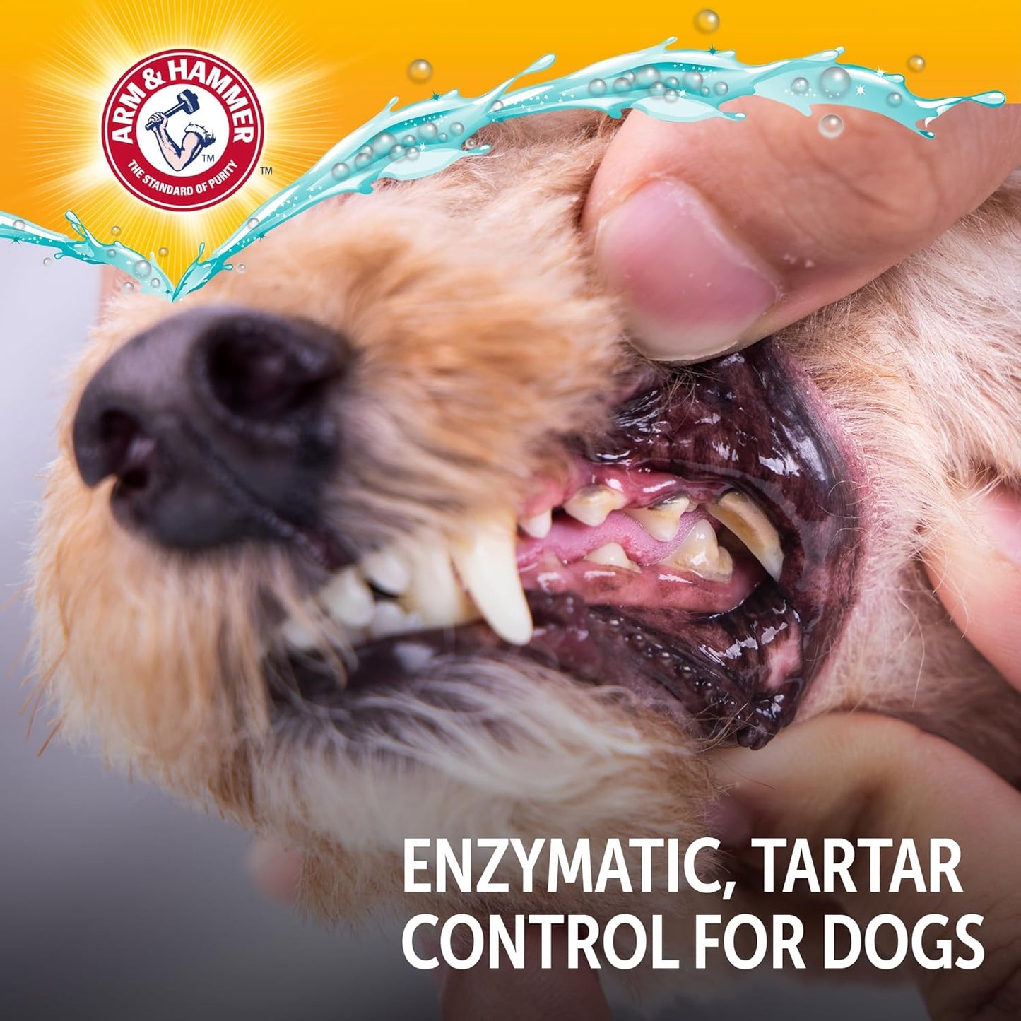 Arm & Hammer Complete Care Enzymatic Dog Toothpaste – Thoughtful Gift for New Puppy Parents, 6.2 Oz