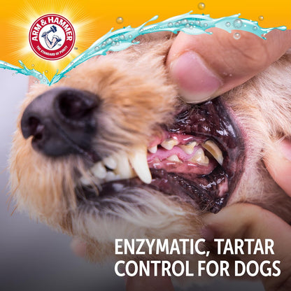Arm & Hammer Complete Care Enzymatic Dog Toothpaste – Thoughtful Gift for New Puppy Parents, 6.2 Oz