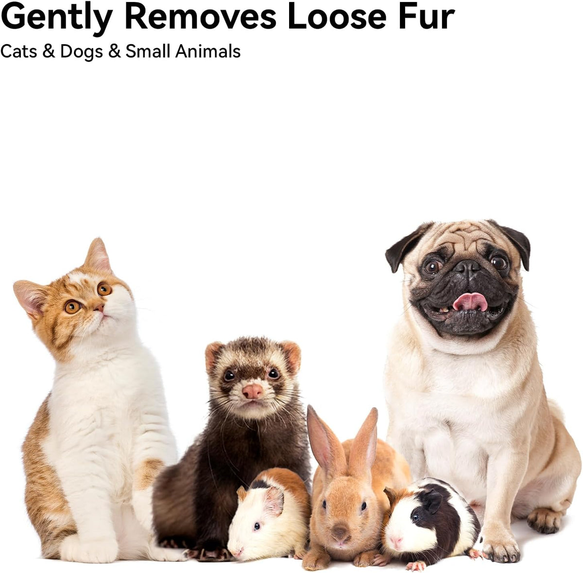 Aumuca Cat Brush for Shedding – Family-Safe Grooming Tool Kids Can Help With at Home