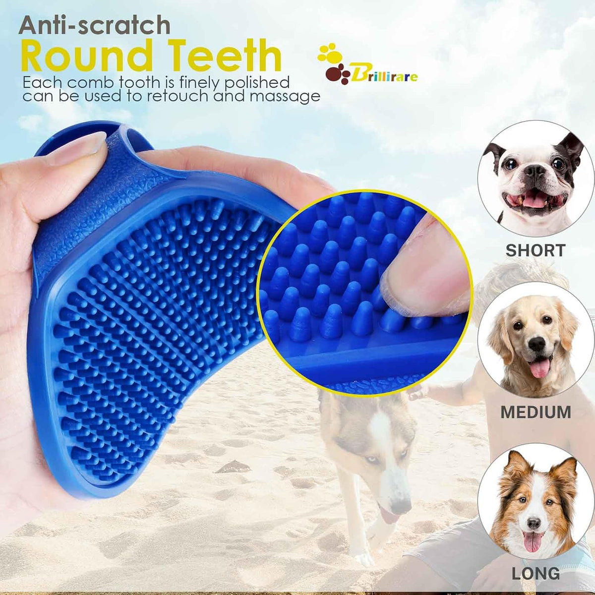 available in 2-pack and 4-pack color-coded variants (green, blue, red, yellow)