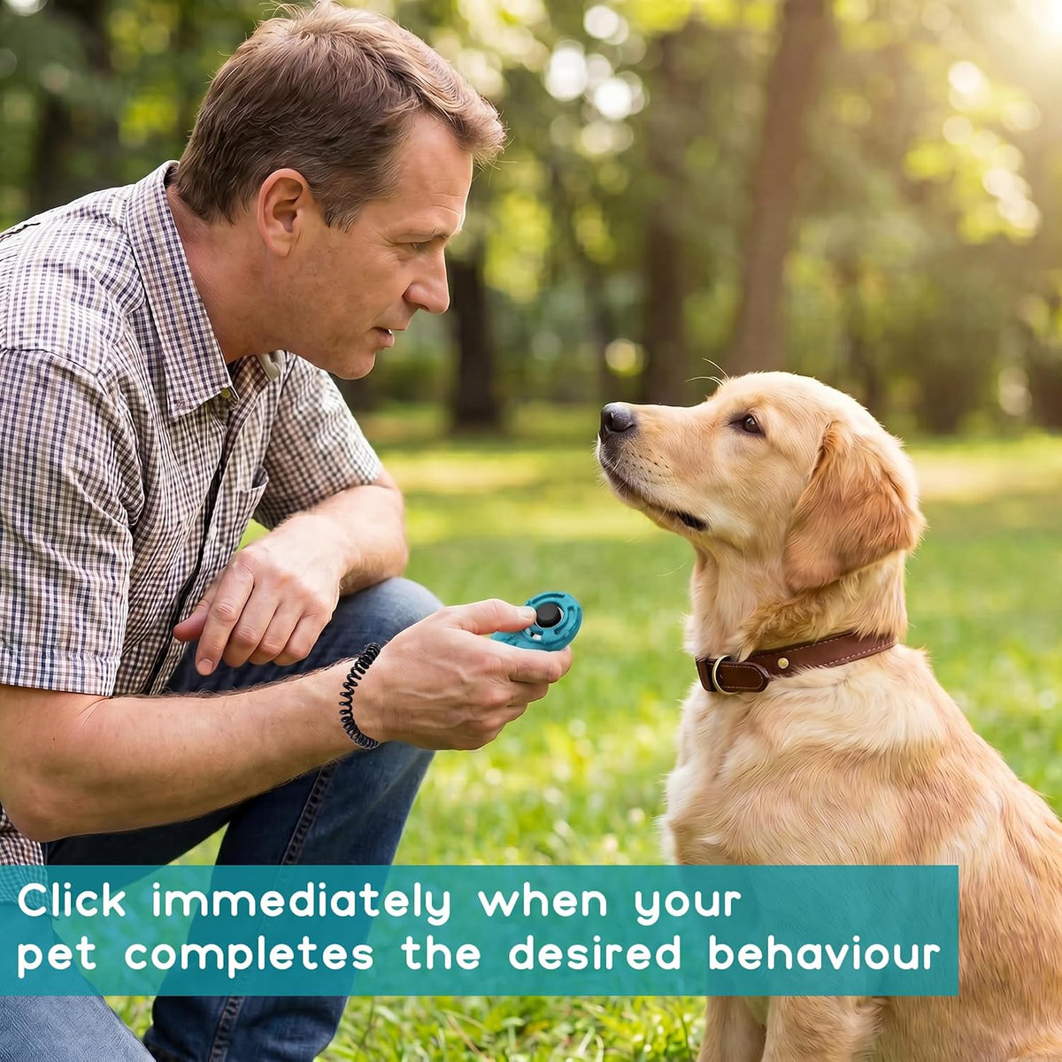 available in a 2 set (4-pack) variant for households with several pets or trainers