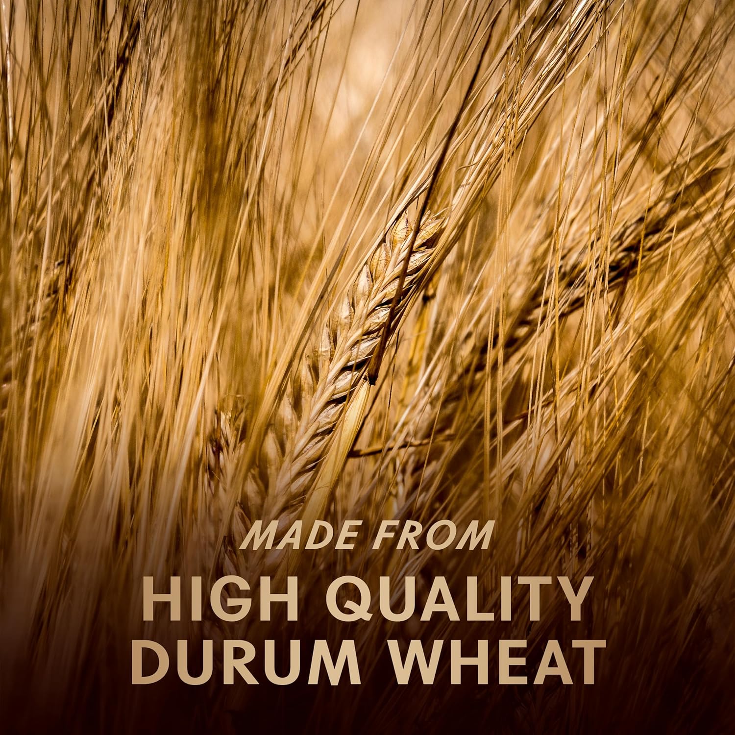 Barilla Al Bronzo Bucatini – Luxury Pantry Staple for Gourmet Entertaining, Traditional Italian Durum Wheat Semolina, Imported