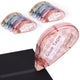 Clear Light-colored Shell - 8