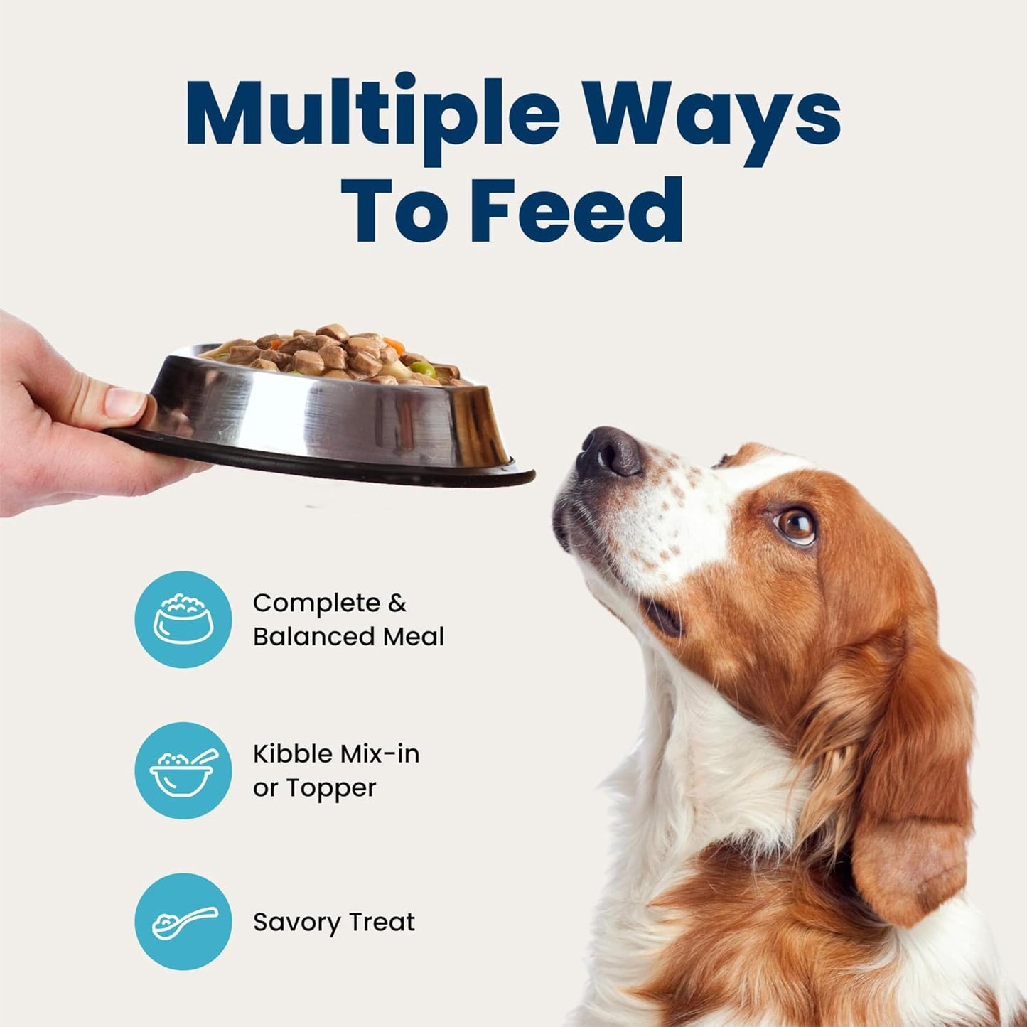 Blue Buffalo Blue's Stew Wet Dog Food, Premium Birthday Gift Box for Dog Lovers and New Puppy Parents