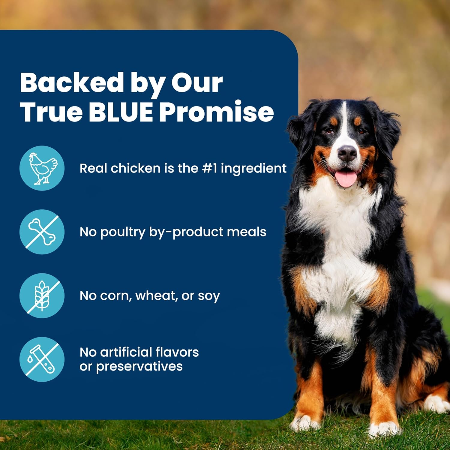 Blue Buffalo Life Protection Formula Chicken & Brown Rice Adult Dog Food – Clean-Label Safety with No By-Product Meals, Corn, Wheat, or Soy, 5 lb
