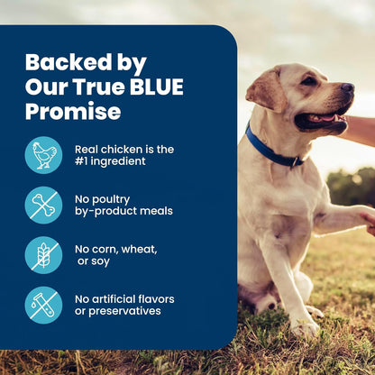 Blue Buffalo Life Protection Formula Senior Dry Dog Food – Chicken & Brown Rice for Daily Wellness, Joint Care and Immune Support, 5 lb Bag