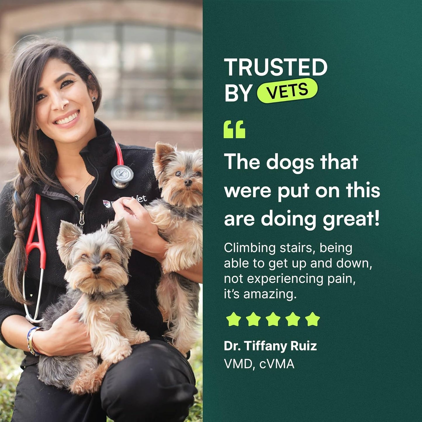 breed-size specific variants (small/medium vs large) and multi-pack count options (1, 2, or 3 packs)
