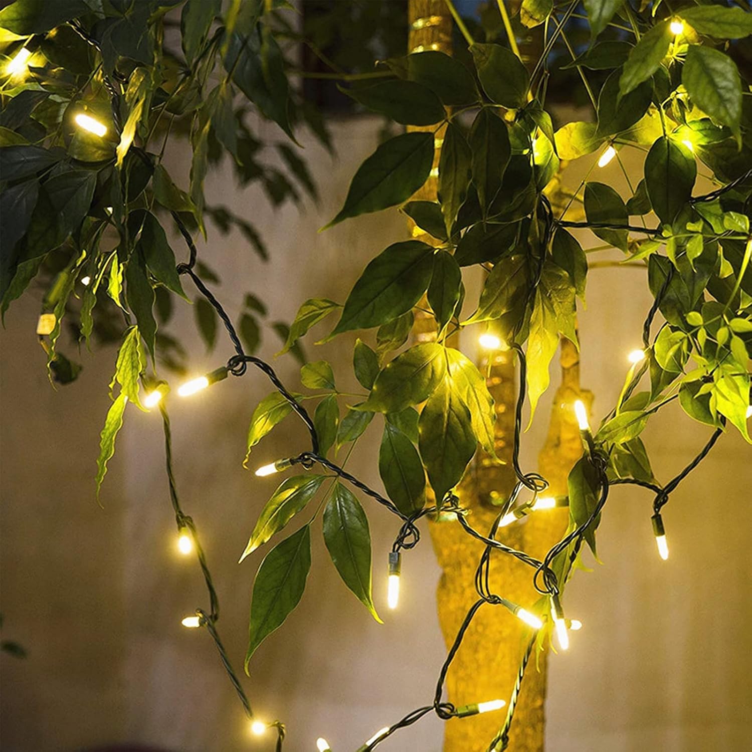 Brightever 35 Ft Warm White Mini String Lights – Christmas Tree & Mantel Home Decor, Connectable Green Wire Design
