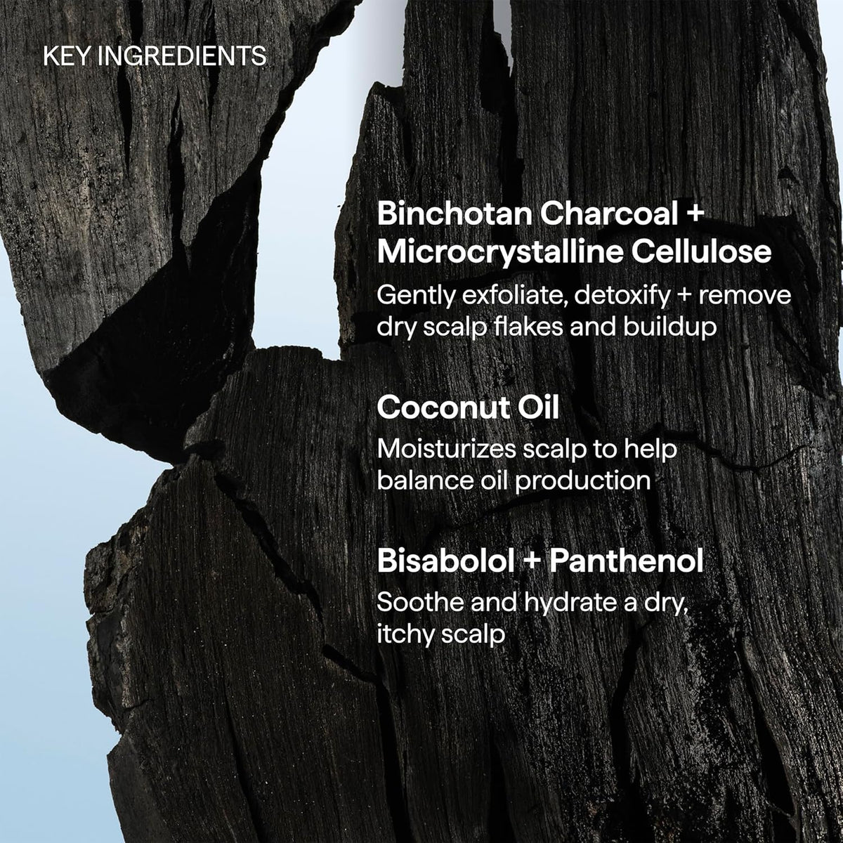 Briogeo Scalp Revival Charcoal + Coconut Oil Micro-Exfoliating Shampoo | Plant-Based Exfoliation Safe for Itchy or Reactive Skin