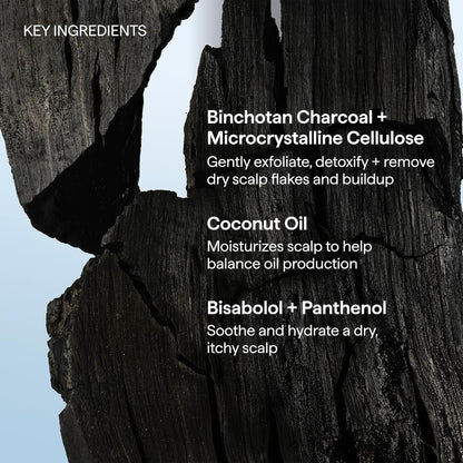 Briogeo Scalp Revival Charcoal + Coconut Oil Micro-Exfoliating Shampoo | Plant-Based Exfoliation Safe for Itchy or Reactive Skin