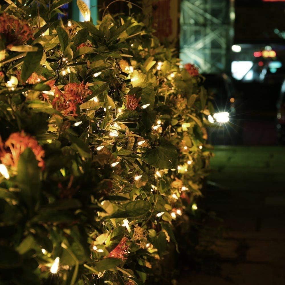 Brizled String Lights – Thoughtful Housewarming Gift for Her with Warm White Glow and Indoor Outdoor Use