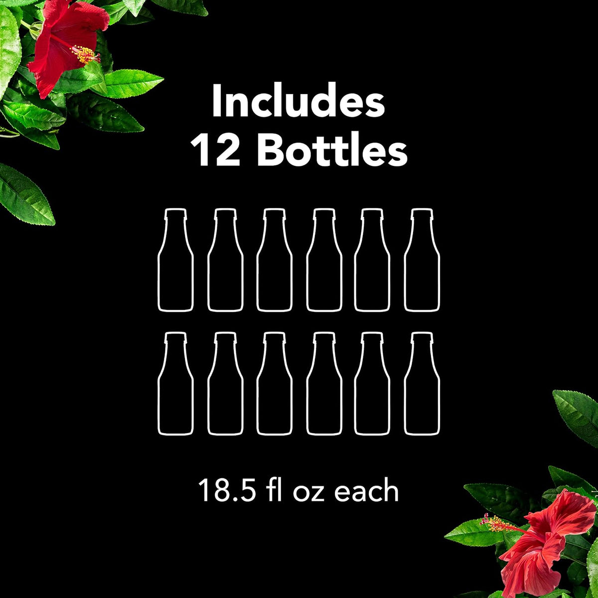 bulk pack of 12 bottles for household or office supply