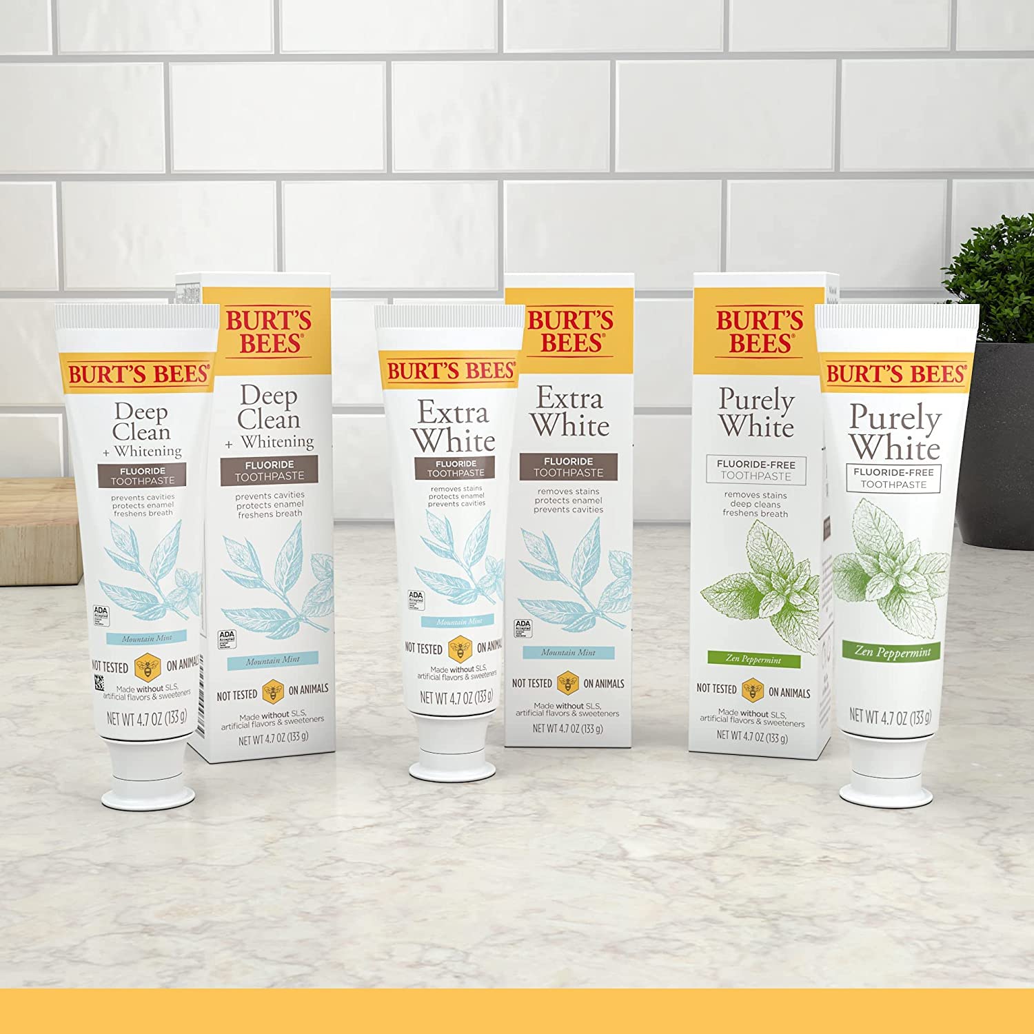 Burt's Bees Natural Mountain Mint Toothpaste – Thoughtful Fluoride-Free Stocking Stuffer and Housewarming Present
