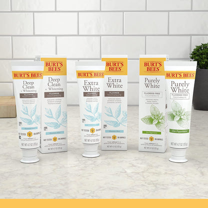 Burt's Bees Natural Mountain Mint Toothpaste – Thoughtful Fluoride-Free Stocking Stuffer and Housewarming Present